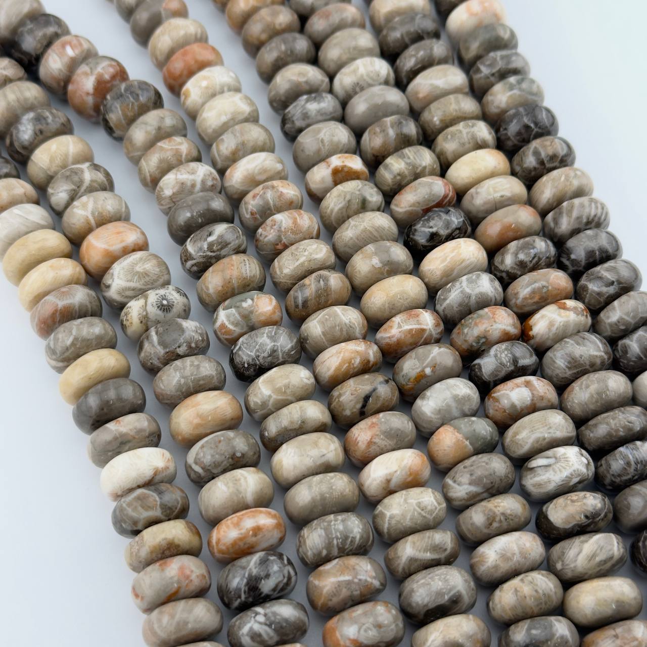 Оканемелый коралл (фоссил) размер 8*13мм натуральный камень